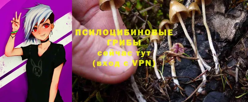 Галлюциногенные грибы Magic Shrooms  Нарьян-Мар 